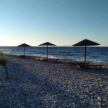 Despoina Seaside Apartment Ágios Konstantínos Buitenkant foto